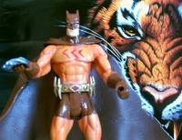 Catman (DC Superheroes) Custom Action Figure