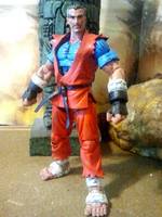 Go Hibiki (Street Fighter) Custom Action Figure
