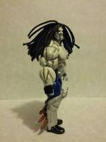 Lobo (DC Universe) Custom Action Figure