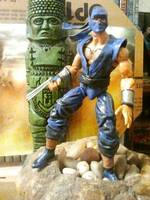 Geki (Street Fighter) Custom Action Figure