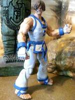 Kim Kaphwan (Fatal Fury) Custom Action Figure