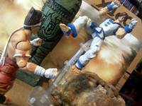 Kim Kaphwan (Fatal Fury) Custom Action Figure