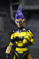 Queen Bee (DC Universe) Custom Action Figure