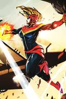 Captain Marvel (Marvel Universe) Custom Action Figure
