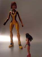 "Giganta" (DC Infinite Heroes) Custom Action Figure