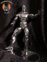 Silver Surfer (Silver Surfer) Custom Action Figure