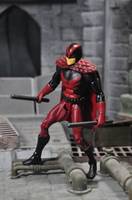 Red Bird V2 (DC Universe) Custom Action Figure