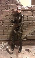 Catwoman - Selina Kyle (G.I. Joe Rise of Cobra) Custom Action Figure