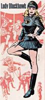 LADY BLACKHAWK Zinda Blake Birds of Prey (DC Universe) Custom Action Figure