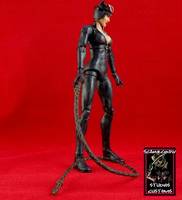 Catwoman (DC Universe) Custom Action Figure