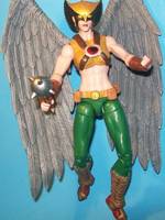 Hawkgirl (DC Universe) Custom Action Figure