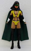 PHANTOM LADY III Stormy Knight Uncle Sam & Freedom Fighters (DC Universe) Custom Action Figure