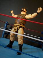 Mantaur (Wrestling) Custom Action Figure