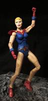 Miraclewoman (Legendary Comic Book Heroes) Custom Action Figure
