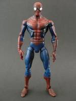 Spider-Man (Spider-Man) Custom Action Figure
