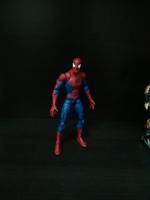 Mcfarlane Spiderman (Marvel Legends) Custom Action Figure