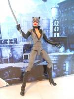 Arkham City Animated Catwoman (Batman - Arkham City) Custom Action Figure