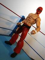 Kato (Wrestling) Custom Action Figure