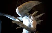 The Deacon *Ultramorph* Prometheus Concept Art (Aliens) Custom Action Figure