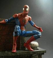 Mcfarlane Spider-Man Repaint (Marvel Legends) Custom Action Figure