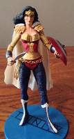 Armored Wonder Woman (Wonder Woman) Custom Action Figure
