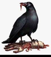 Resident Evil Infected Crow (Resident Evil) Custom Other