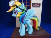Wonderbolts Cadet Rainbow Dash (My Little Pony) (Misc) Custom Other