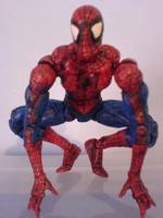 Spiderman (Spider-Man) Custom Action Figure