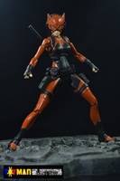 Artemis Crock  Young Justice Tigress (Young Justice) Custom Action Figure