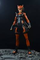 Artemis Crock  Young Justice Tigress (Young Justice) Custom Action Figure