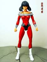 Life Lass (DC Universe) Custom Action Figure