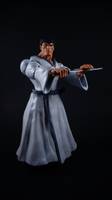 Samurai Jack (Samurai) Custom Action Figure