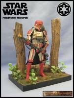 Imperial Firstorm Trooper (Star Wars) Custom Action Figure