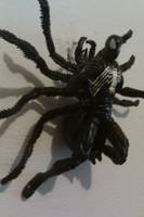 Arachnus Spider-Man (Marvel Universe) Custom Action Figure