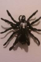Arachnus Spider-Man (Marvel Universe) Custom Action Figure