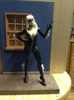 Black Cat (Marvel Select) Custom Action Figure