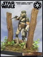 Imperial Combat Harden Trooper (Star Wars) Custom Action Figure
