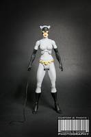 DCUC Catwoman Animated (DC Universe) Custom Action Figure