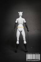 DCUC Catwoman Animated (DC Universe) Custom Action Figure