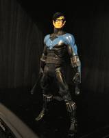 Nightwing (DC Universe) Custom Action Figure
