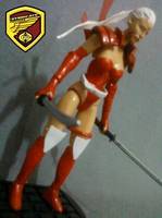 Zealot (Wildcats) Custom Action Figure