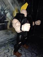 Birdie (Street Fighter 1) (Street Fighter) Custom Action Figure