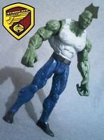 Savage Dragon (Savage Dragon) Custom Action Figure