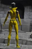 Vixen (DC Universe) Custom Action Figure