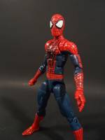 Spider-Man (Marvel Legends) Custom Action Figure