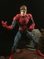 Spiderman - Peter Parker (Spider-Man) Custom Action Figure