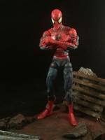 Spiderman - Peter Parker (Spider-Man) Custom Action Figure