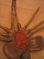 Lifesize Facehugger (Aliens) Custom Action Figure