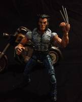 Wolverine / Logan (Marvel Legends) Custom Action Figure