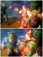 Teenage Mutant Street Fighter Turtles..Balroc-Steady (Teenage Mutant Ninja Turtles) Custom Action Figure